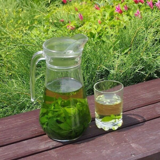 Bylina dlouhověkosti - Jiaogulan Gynostemma P9/C1