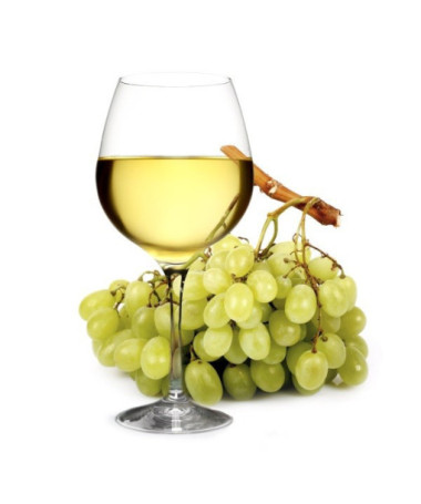 Vinná réva 'Syriusz' P9/C1