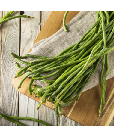 Čínská dlouhá fazole 'Splendor'