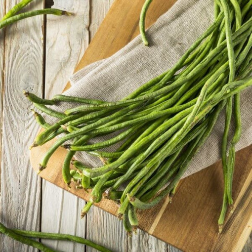 Čínská dlouhá fazole 'Splendor'