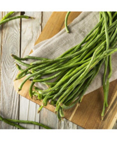 Čínská dlouhá fazole 'Splendor'