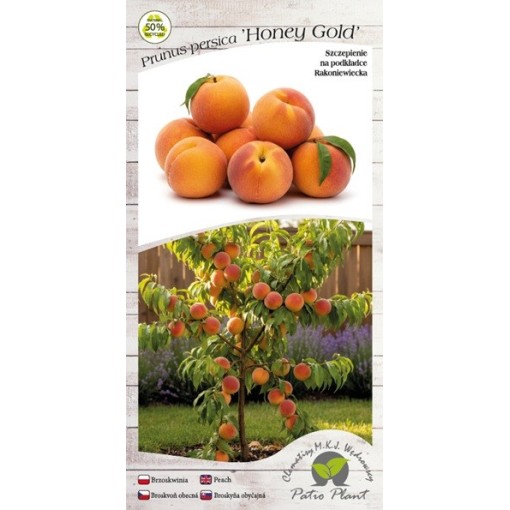 Mini Patio – Broskvoň Honey Gold, kontejner 4 l