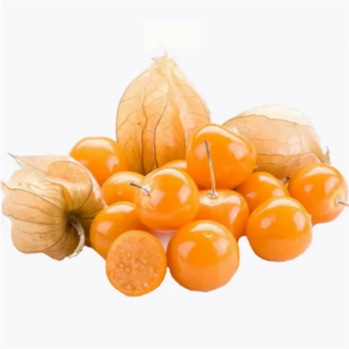 Physalis (Mořenka / Mochyně peruánská) C2