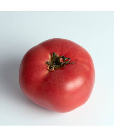 Rajče 'Maliniak' P9/C1