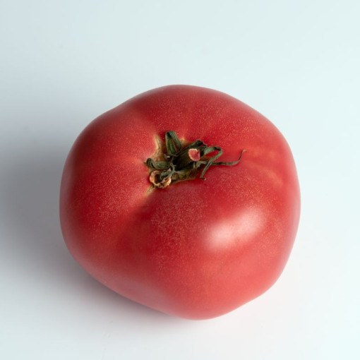 Rajče 'Maliniak' P9/C1