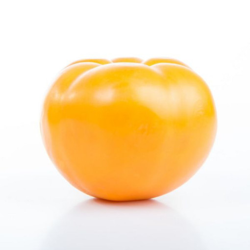 Rajče 'Jantar' P9/C1