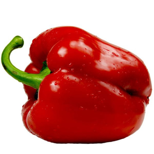 Paprika 'Granova' P9/C1