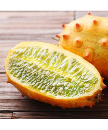 Okurka 'Africký Kiwano' P9/C1
