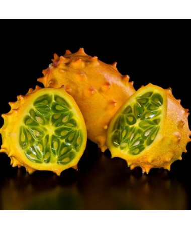 Okurka 'Africký Kiwano' P9/C1