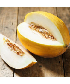 Meloun 'Zlatý' P9/C1