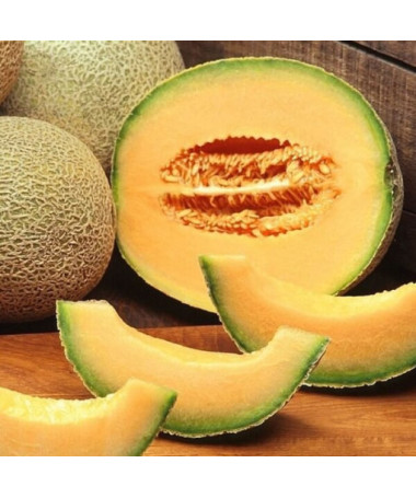 Meloun 'Seledyn' P9/C1