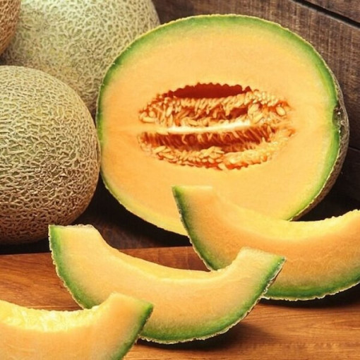 Meloun 'Seledyn' P9/C1