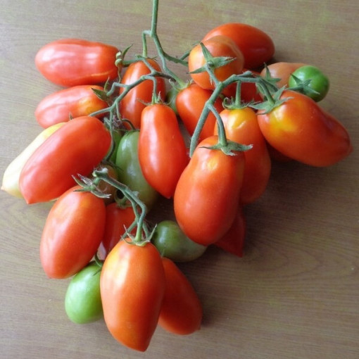 Rajče 'Pinocchio' P9/C1