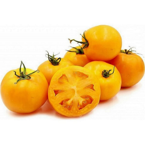 Rajče 'Gościniec' P9/C1