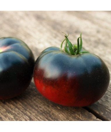 Rajče 'Černý lak' P9/C1