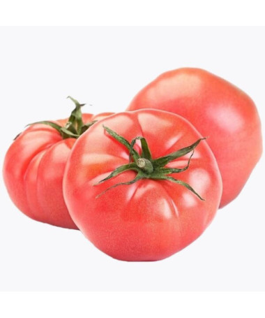 Malinové rajče 'Faworyt' P9/C1