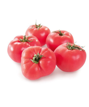 Malinové rajče 'Ożarowski' P9/C1